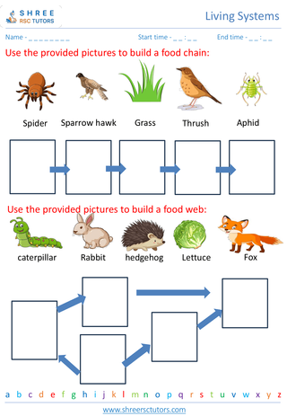 Exploring Ecosystems And Food Chains 5