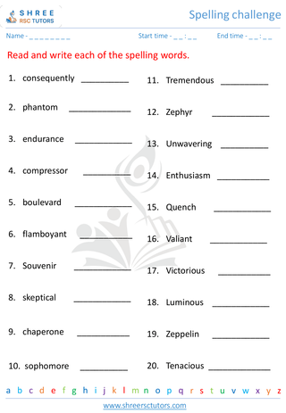 Spelling Challenge 8