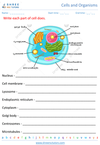 Basic Structure Of Cells And Introduction To Microorganisms 4