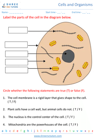 Basic Structure Of Cells And Introduction To Microorganisms 1