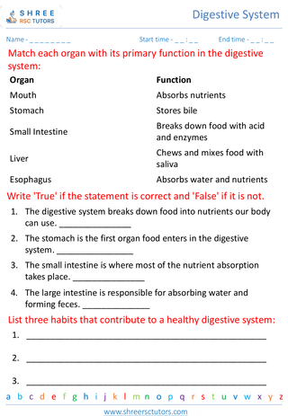 Importance Of A Healthy Digestive System 2