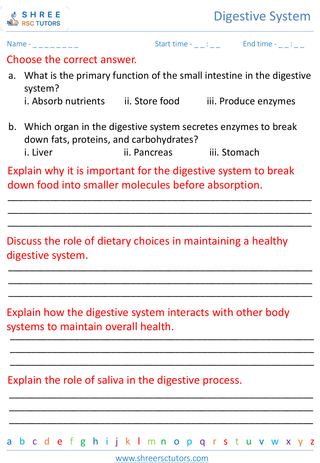 Importance Of A Healthy Digestive System 4