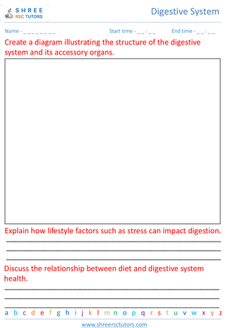 Importance Of A Healthy Digestive System 5