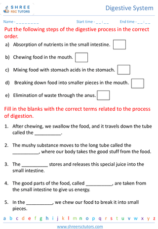 Understanding The Process Of Digestion 2