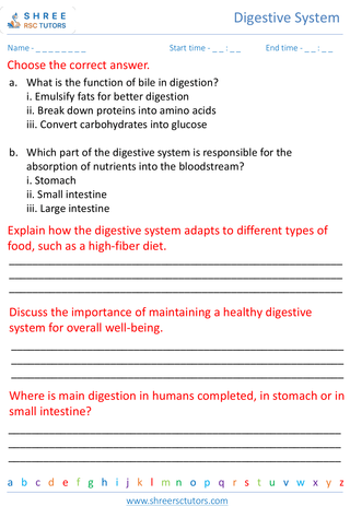Understanding The Process Of Digestion 3