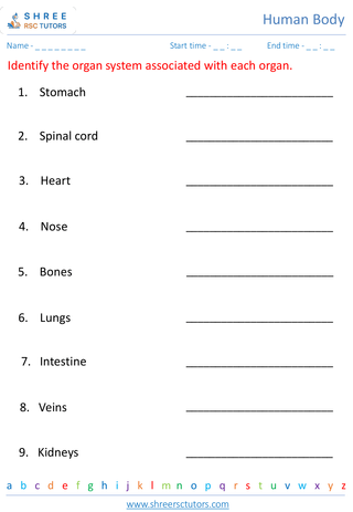 Interdependence Of Body Systems 1