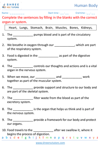 Interdependence Of Body Systems 2