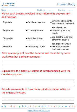 Interdependence Of Body Systems 4