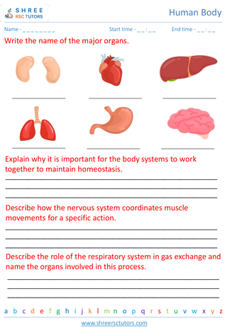 Overview Of The Major Human Body Systems 3