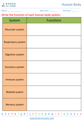 Overview Of The Major Human Body Systems 5