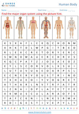 Overview Of The Major Human Body Systems 4