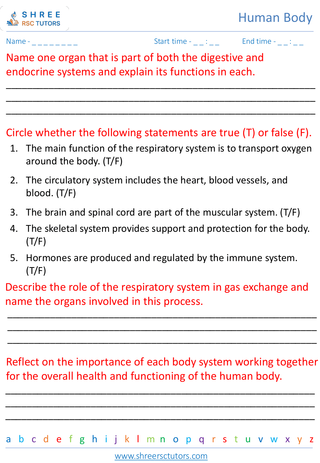 Overview Of The Major Human Body Systems 6