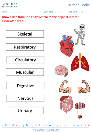 Overview Of The Major Human Body Systems 1