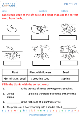 Life Cycle Of Flowering Plants 1
