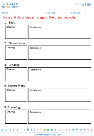 Life Cycle Of Flowering Plants 2
