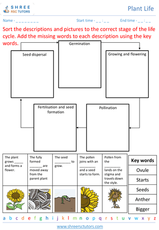 Life Cycle Of Flowering Plants 3