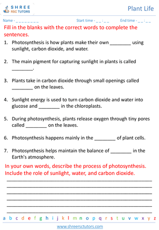 Photosynthesis 2