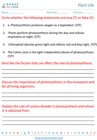Photosynthesis 6