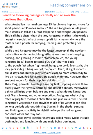 Reading Comprehension 6