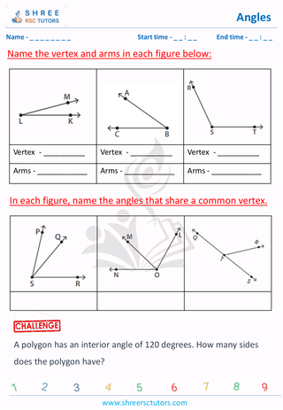 Naming And Identifying Parts Of Angles (6)