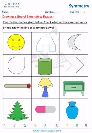 Drawing A Line Of Symmetry (2)