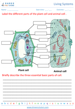 Cells And Microorganisms 6 1