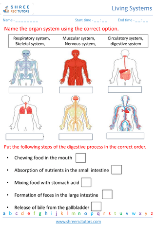 Human Body Systems 1