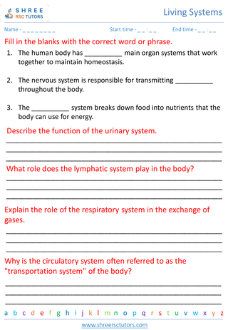 Human Body Systems 3