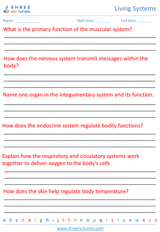 Human Body Systems 6