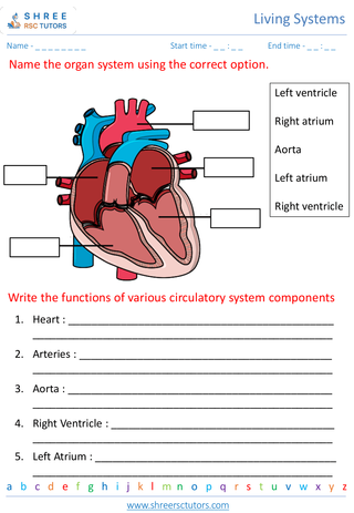 Human Body Systems 2