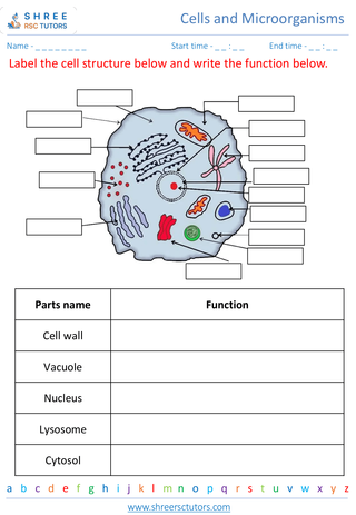 Cell Structure And Function 1