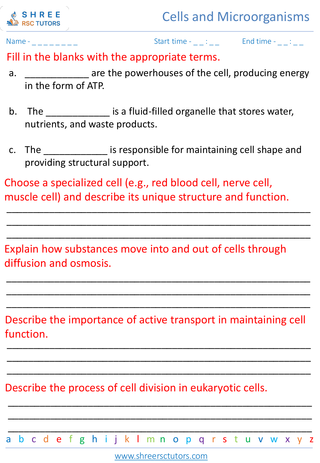 Cell Structure And Function 3