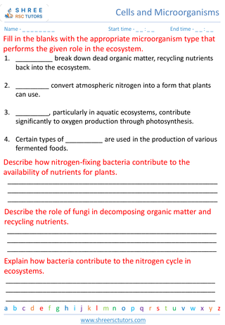 Types Of Microorganisms And Their Roles In Ecosystems 6