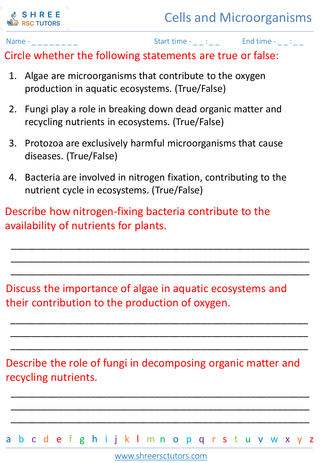 Types Of Microorganisms And Their Roles In Ecosystems 4