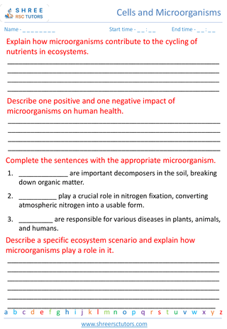 Types Of Microorganisms And Their Roles In Ecosystems 2