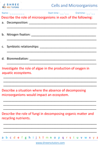 Types Of Microorganisms And Their Roles In Ecosystems 5