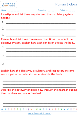 Human Body Systems Digestive, Circulatory, Respiratory 5