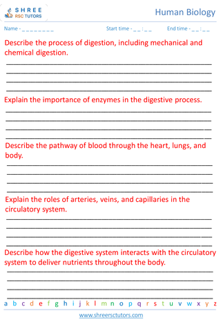 Human Body Systems Digestive, Circulatory, Respiratory 3