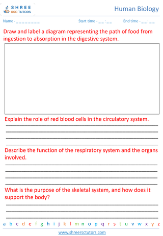 Human Body Systems Digestive, Circulatory, Respiratory 2