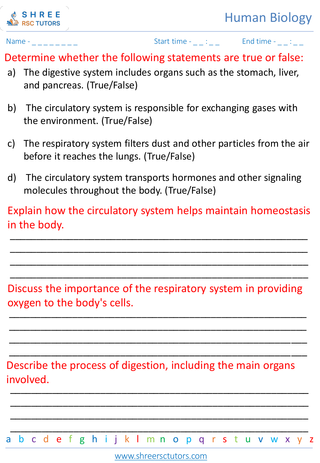 Human Body Systems Digestive, Circulatory, Respiratory 4