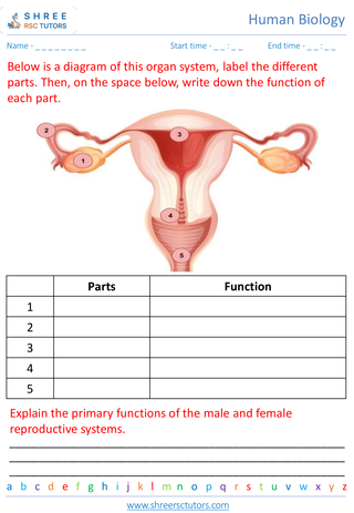 Reproductive Systems And Human Development 6