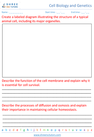 Cell Structure And Function 4
