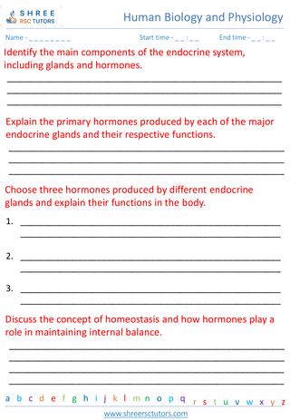 Endocrine System And Hormones 4