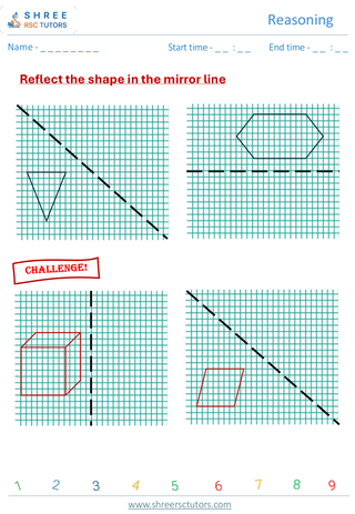 Reasoning  KS2 SAT17