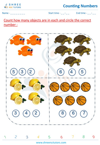 Counting Numbers (11)