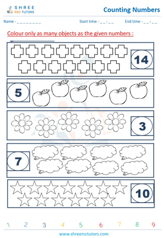 Counting Numbers (13)